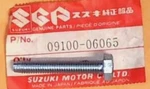 1971-1981 Suzuki TS125 TS185 TC125 Oem Chain Adjuster Bolt 09100-06065 Qty. Fixed Price $24.99.
