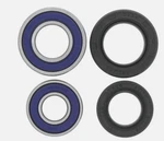 2003-2008 Arctic Cat Dvx 400 Quadboss Front Wheel Bearing & Seal Kit 413294. Fixed Price $24.99.