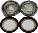 Balls 22-1007AB Steering Stem Bearing Kit. Fixed Price $51.14.