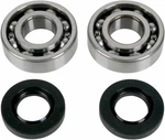 Moose Racing Crank Bearing And Seal Kit For 2003-2006 Kawasaki KFX80 Atv. Fixed Price $64.95.