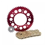 Primary Drive Alloy Kit & Gold X-ring Chain Red Rear Sprocket 1021390268. Fixed Price $139.55.