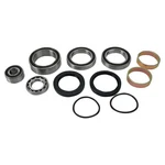 Balls Shaft Bearing And Seal Kit 14-1012. Fixed Price $131.94.