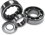 Feuling Camshaft Outer Bearing For Chain Drive 2078 99-05 Harley Twin. Fixed Price $69.95.
