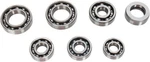 Hot Rods Transmission Bearing Kit #TBK0075 Fits Yamaha Grizzly 660/RHINO. Fixed Price $144.35.