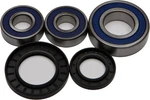 Balls 2007-2018 DL650A V-strom Abs Suzuki Rear Wheel Bearing Kit 25-1393. Fixed Price $60.02.