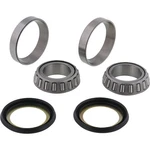 Balls Steering Stem Bearing Seal Kit For Honda XR100R 85-03 XR185 79. Fixed Price $58.06.