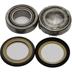 Balls Steering Bearing/seal Kit 22-1005. Fixed Price $55.58.