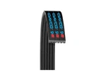 Dayco 47SS48H Main Drive Multi Rib Belt Fits 1988-1991, 1993-1994 Buick Lesabre. Fixed Price $45.53.