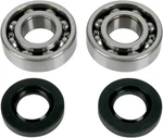 Moose Bearing Seals Kit Kawasaki KFX80 03-06. Fixed Price $66.69.