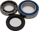 Balls 25-1010 Wheel Bearing And Seal Kit Rear. Fixed Price $53.01.