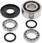 Balls 25-2075 Front Differential Bearing & Seal Kit Fits Various Polaris. Fixed Price $163.17.