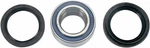 Moose Racing Wheel Bearing Kit For 2001-2005 Arctic Cat 250 4X4 Atv Rear. Fixed Price $51.61.