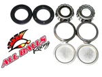 Honda 250EX Recon 250SX 250ES Swingarm Bearing Kit Balls 28-1056. Fixed Price $52.40.