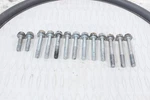 2012 Honda Foreman TRX500FM Stator Cover Mounting Bolts 95701-06040-00. Fixed Price $19.00.